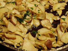 Funghi porcini