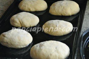 pane ciabatta mdp