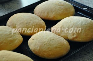 pane ciabatta mdp