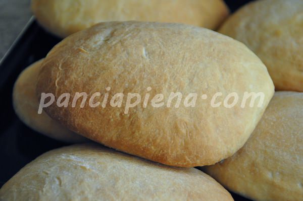 Pane ciabatta MDP